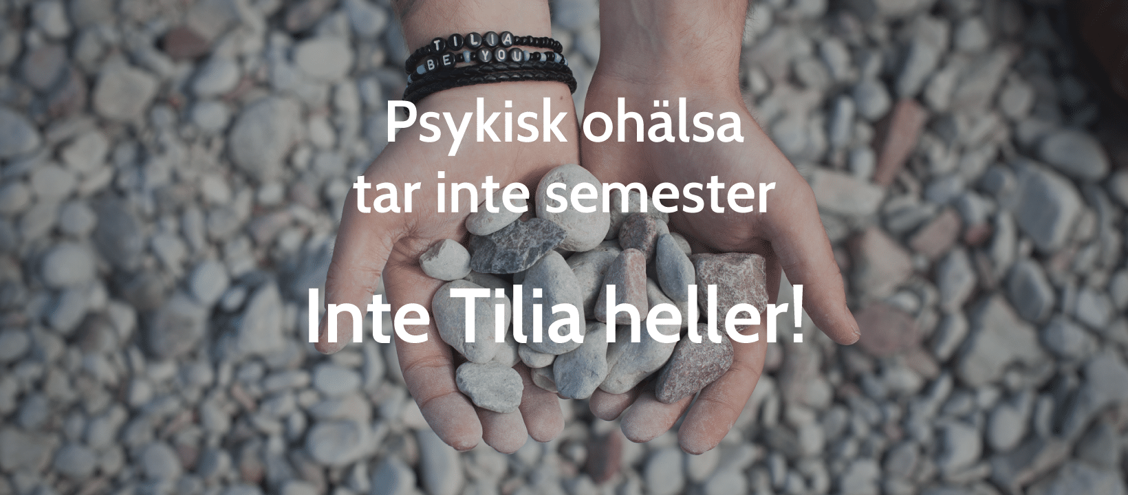 Sommaren 2017 med Tilia